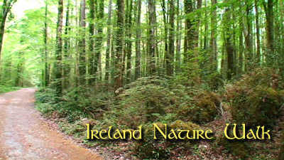 IRELAND NATURE WALK